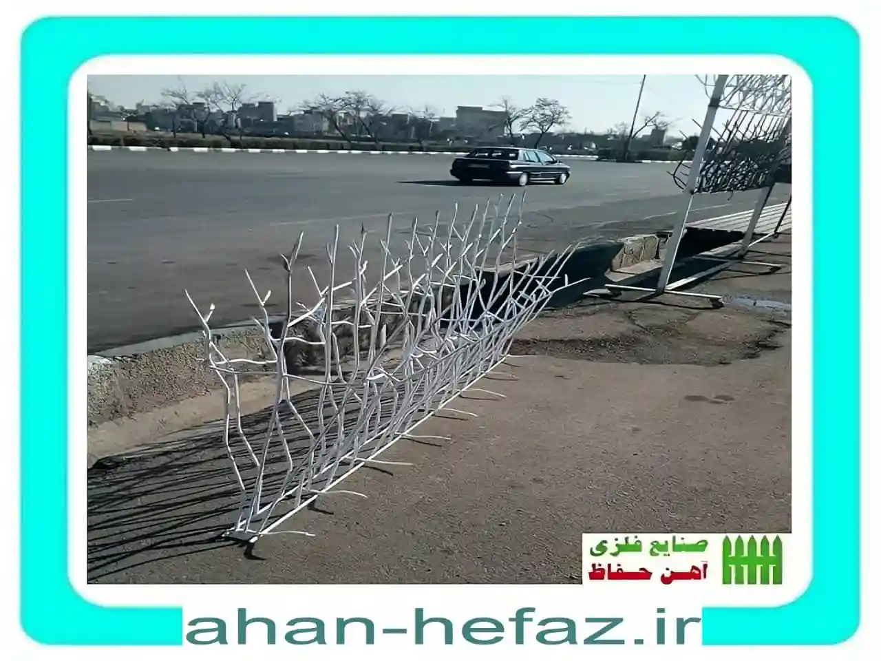 عکس حفاظ شاخ گوزنی