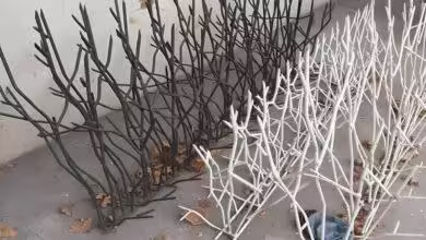 مشخصات حفاظ شاخ گوزنی دیوار