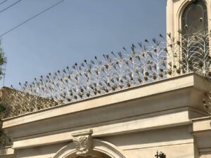حفاظ شاخ گوزنی با طراحی مقاوم