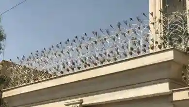 حفاظ شاخ گوزنی با طراحی مقاوم