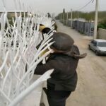 خرید و نصب حفاظ شاخ گوزنی