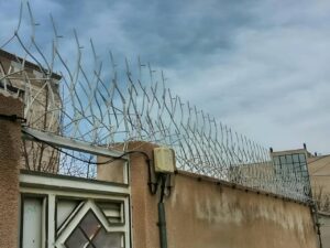 امنیت حفاظ شاخ گوزنی
