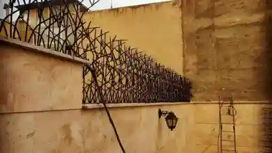 حفاظ شاخ گوزنی منزل مسکونی