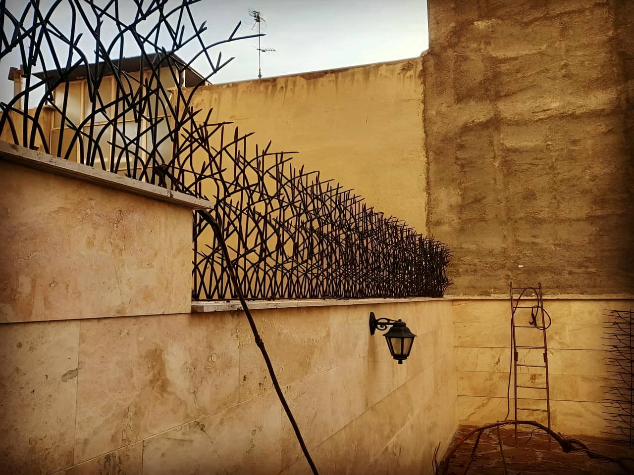 حفاظ شاخ گوزنی منزل مسکونی | آهن حفاظ حفاظ شاخ گوزنی منزل مسکونی
