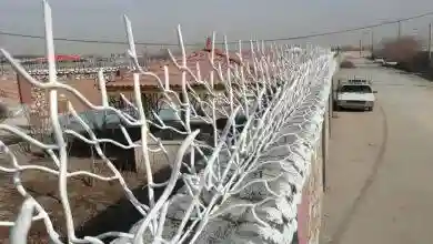 حفاظ شاخ گوزنی در شهرهای مرطوب