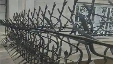 انتخاب رنگ مناسب برای حفاظ شاخ گوزنی