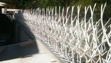حفاظ شاخ گوزنی در معماری مدرن