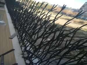 کاربردهای حفاظ شاخ گوزنی