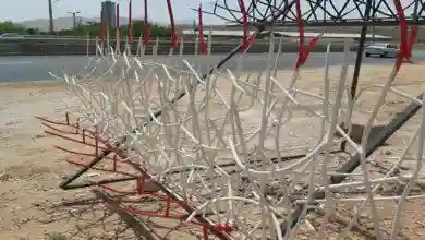 هزینه و ارزش حفاظ شاخ گوزنی