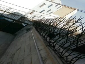 انواع پوشش حفاظ شاخ گوزنی