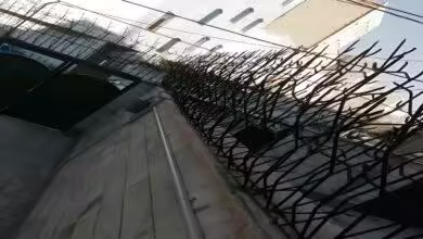 انواع پوشش حفاظ شاخ گوزنی