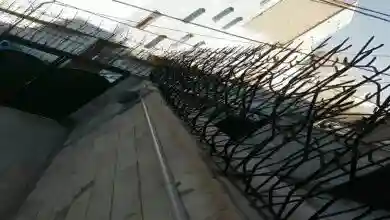 انواع پوشش حفاظ شاخ گوزنی