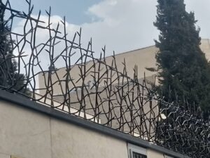 حفاظ شاخ گوزنی با میلگرد نوک تیز