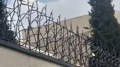 حفاظ شاخ گوزنی با میلگرد نوک تیز
