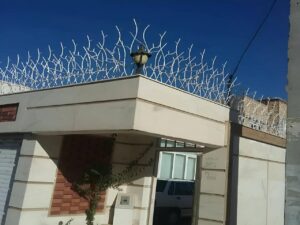 حفاظ شاخ گوزنی در مقایسه با سایر انواع حفاظ