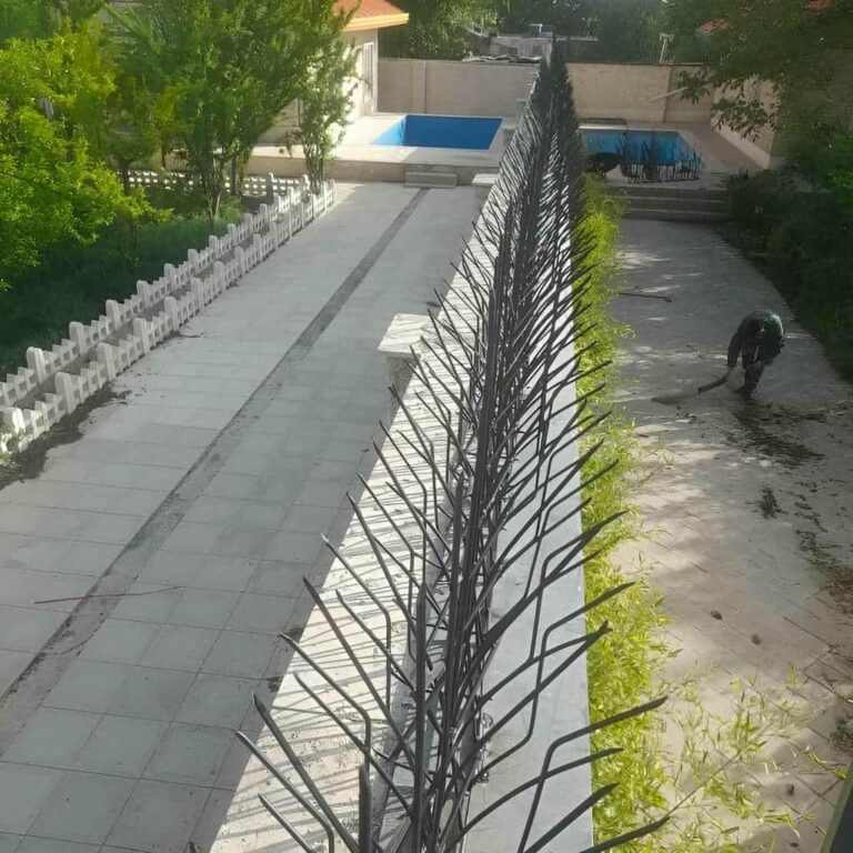 حفاظ شاخ گوزنی چیست