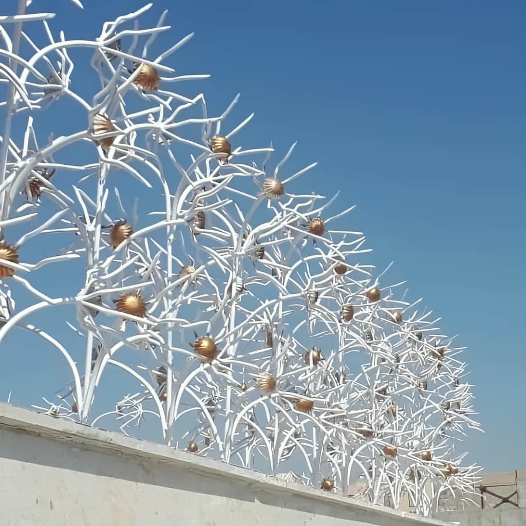 حفاظ گل آفتابگردان