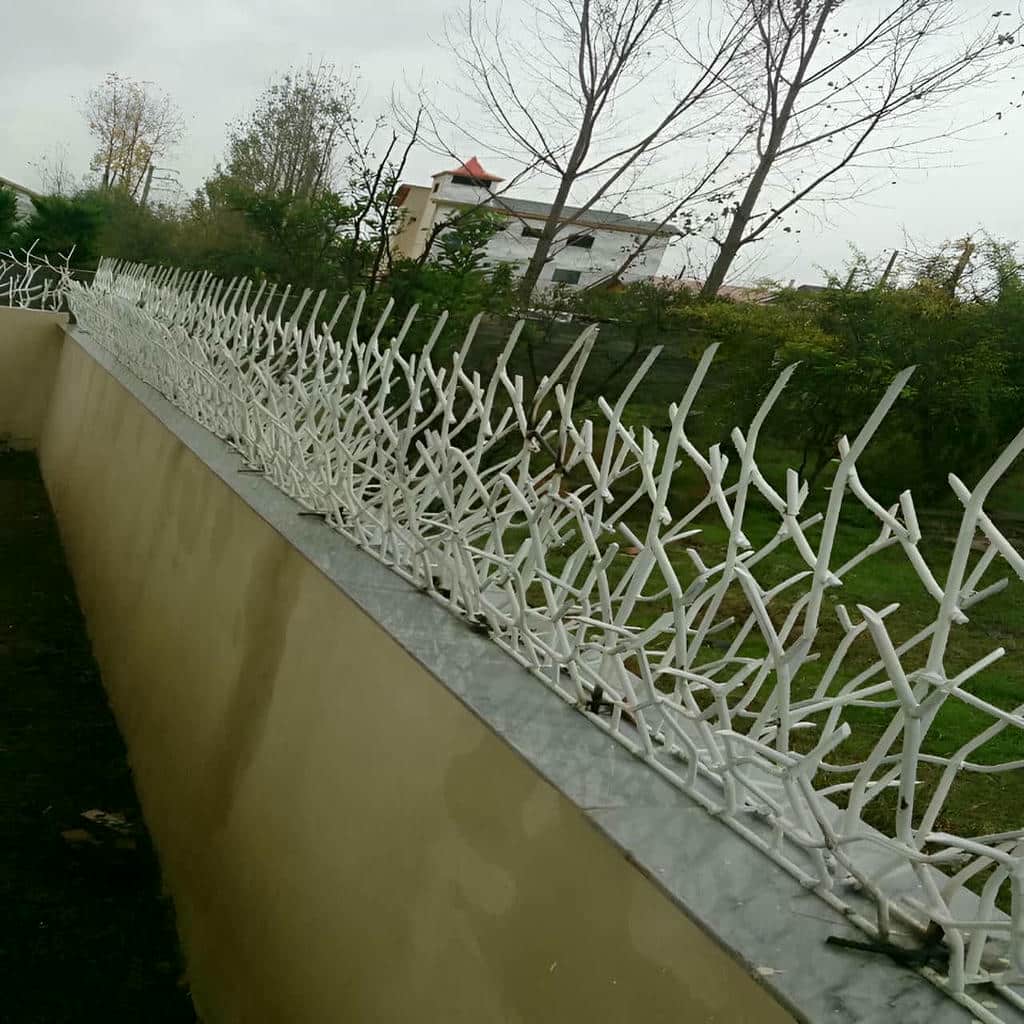 کارخانه حفاظ شاخ گوزنی نوک تیز منظم در اهواز