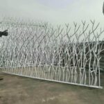 حفاظ شاخ گوزنی در تبریز