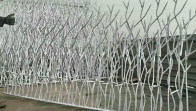حفاظ شاخ گوزنی در تبریز