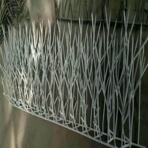 حفاظ شاخ گوزنی در اشتهارد