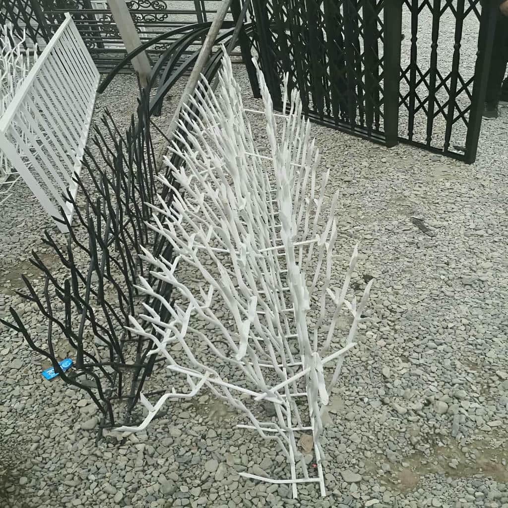 حفاظ شاخ گوزنی در استان مازندران
