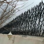 حفاظ شاخ گوزنی در کرج