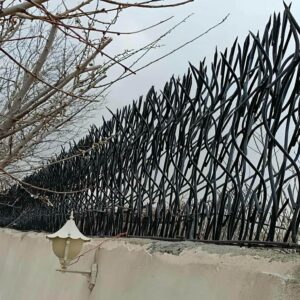 حفاظ شاخ گوزنی در کرج