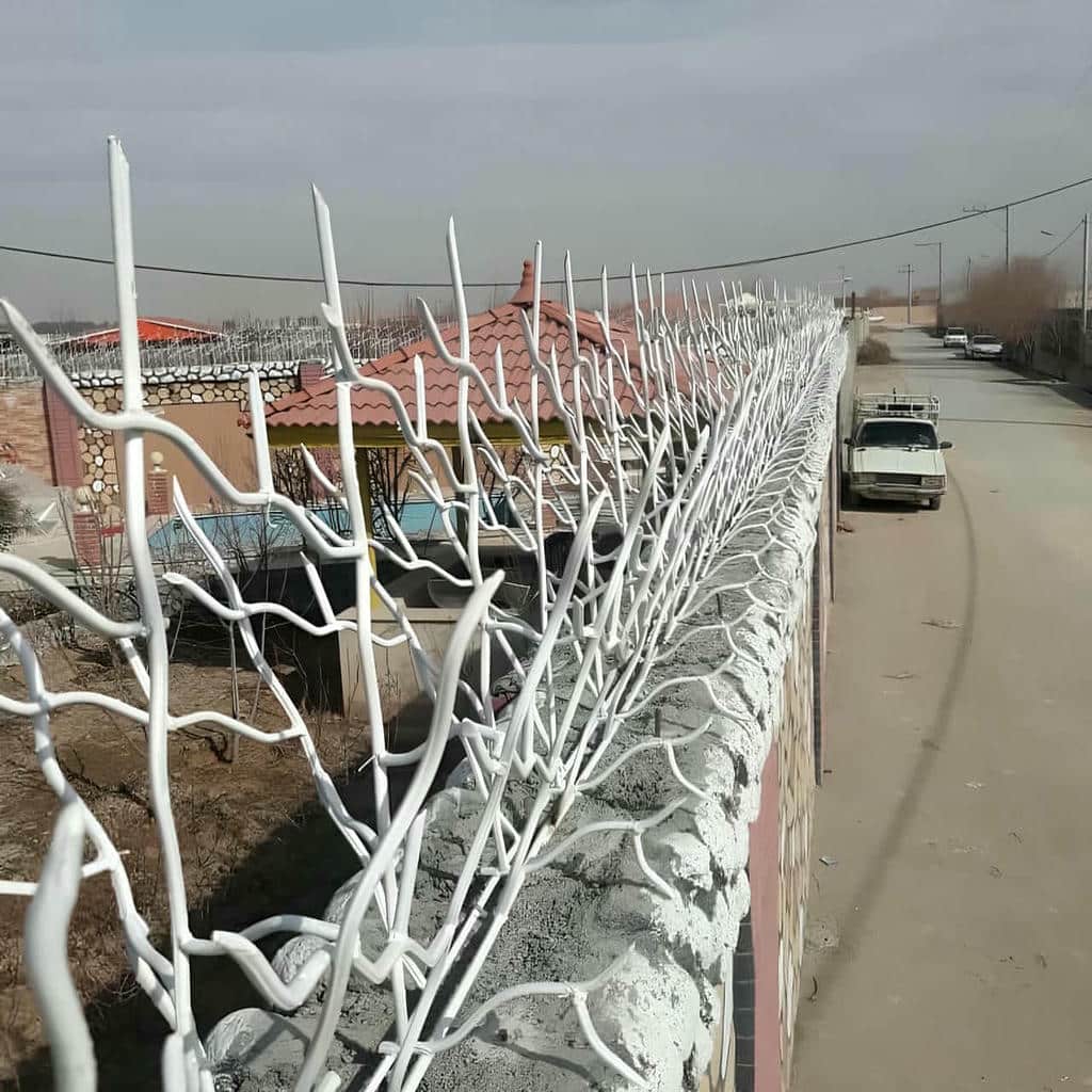 کارخانه حفاظ شاخ گوزنی نوک کنترل شده در ساری