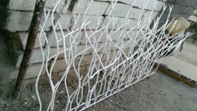 حفاظ شاخ گوزنی در مهرشهر کرج