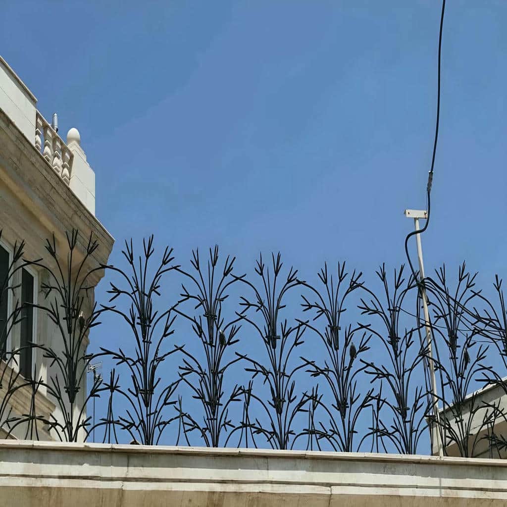 کارخانه حفاظ شاخ گوزنی اجرای هماهنگ در محمودآباد