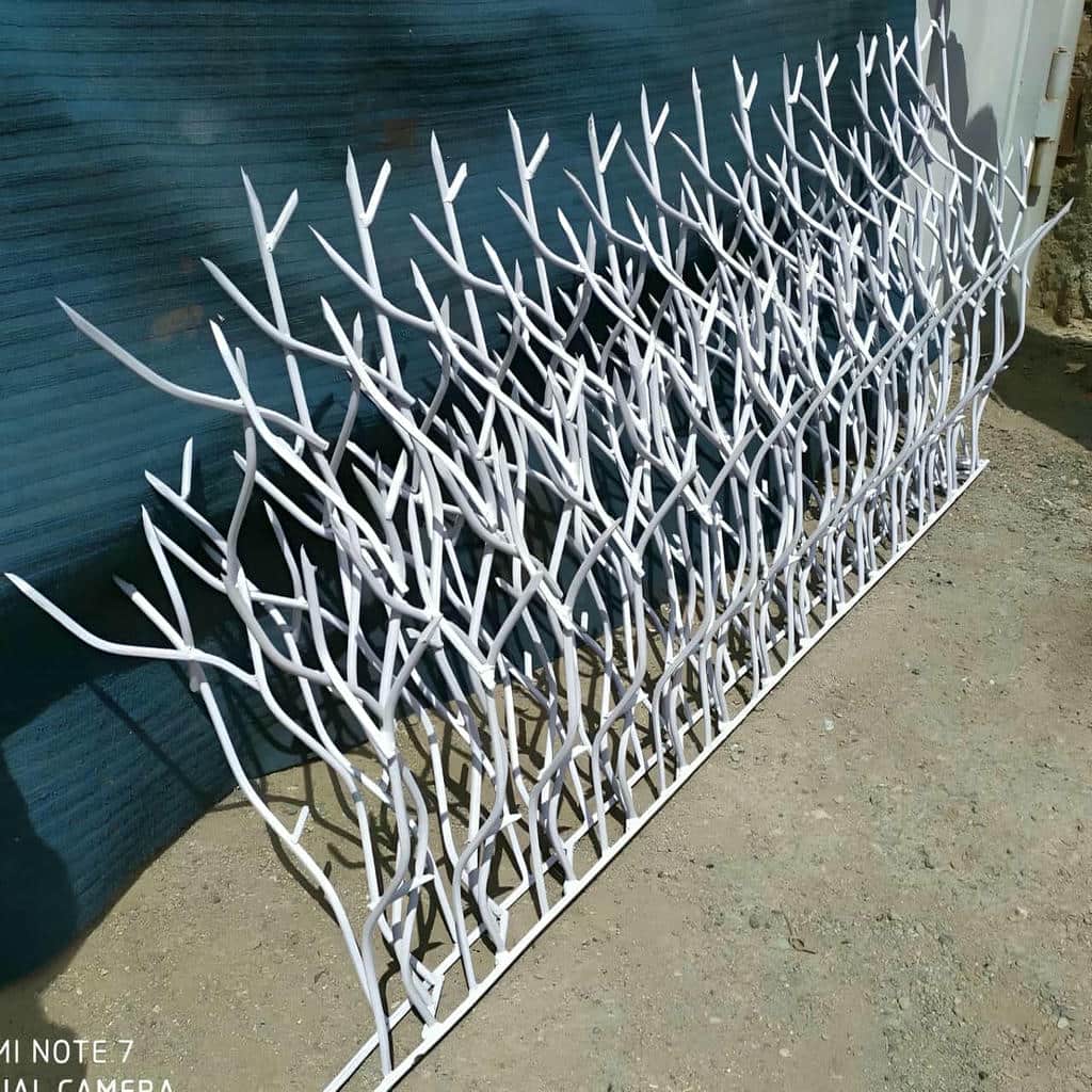 حفاظ شاخ گوزنی در کرمانشاه