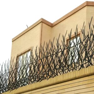 حفاظ شاخ گوزنی در همدان