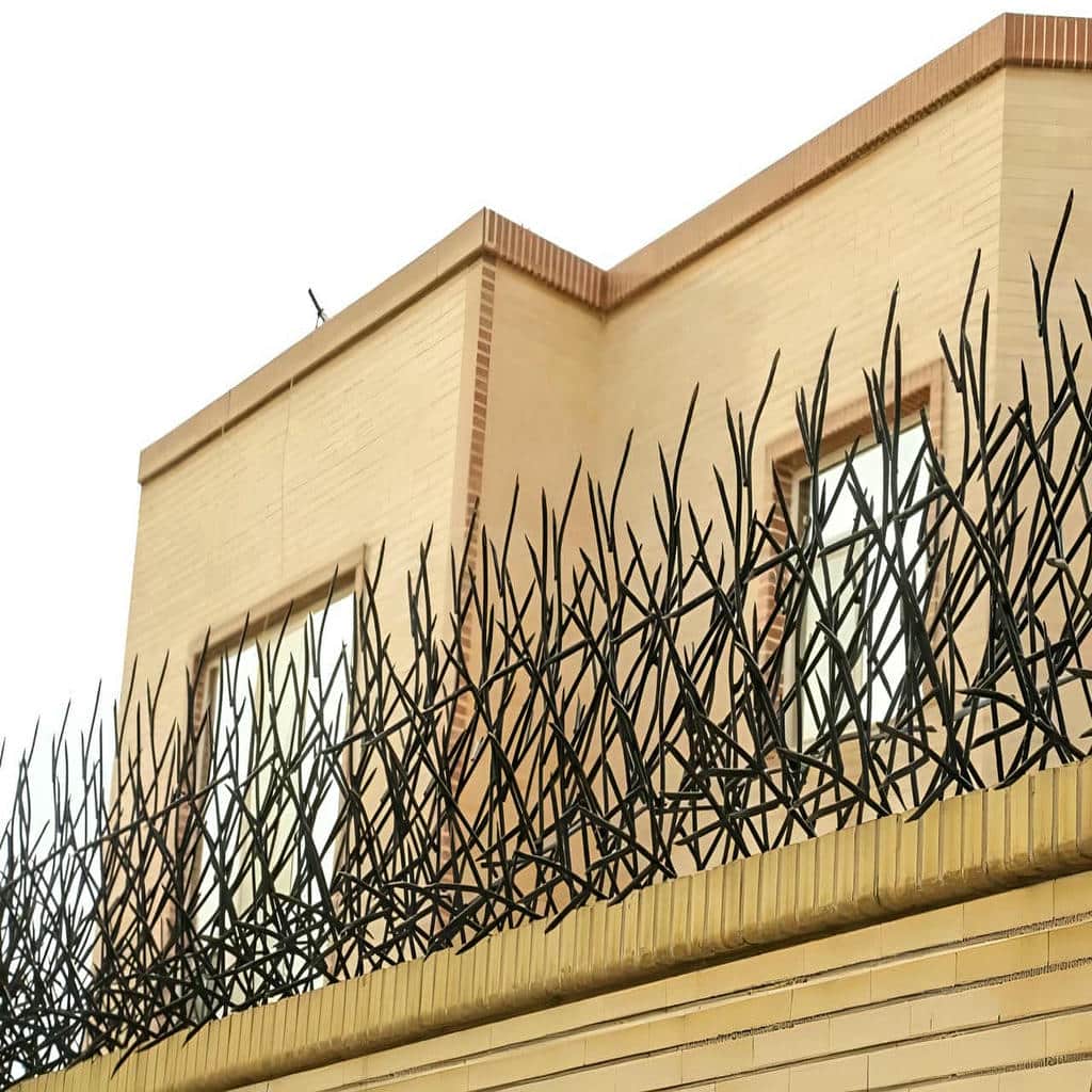 حفاظ شاخ گوزنی در همدان