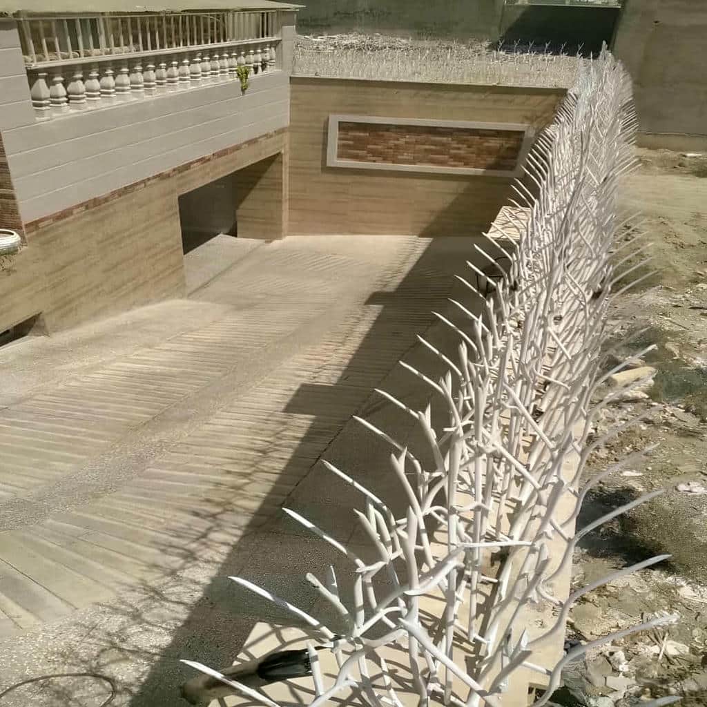 قیمت حفاظ شاخ گوزنی رنگ الکترواستاتیک در تهران