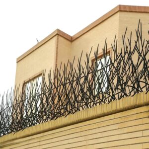 حفاظ شاخ گوزنی در کیش