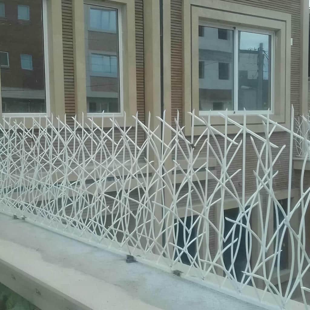 حفاظ شاخ گوزنی در فشم