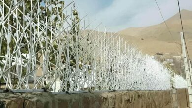 حفاظ شاخ گوزنی در زاهدان
