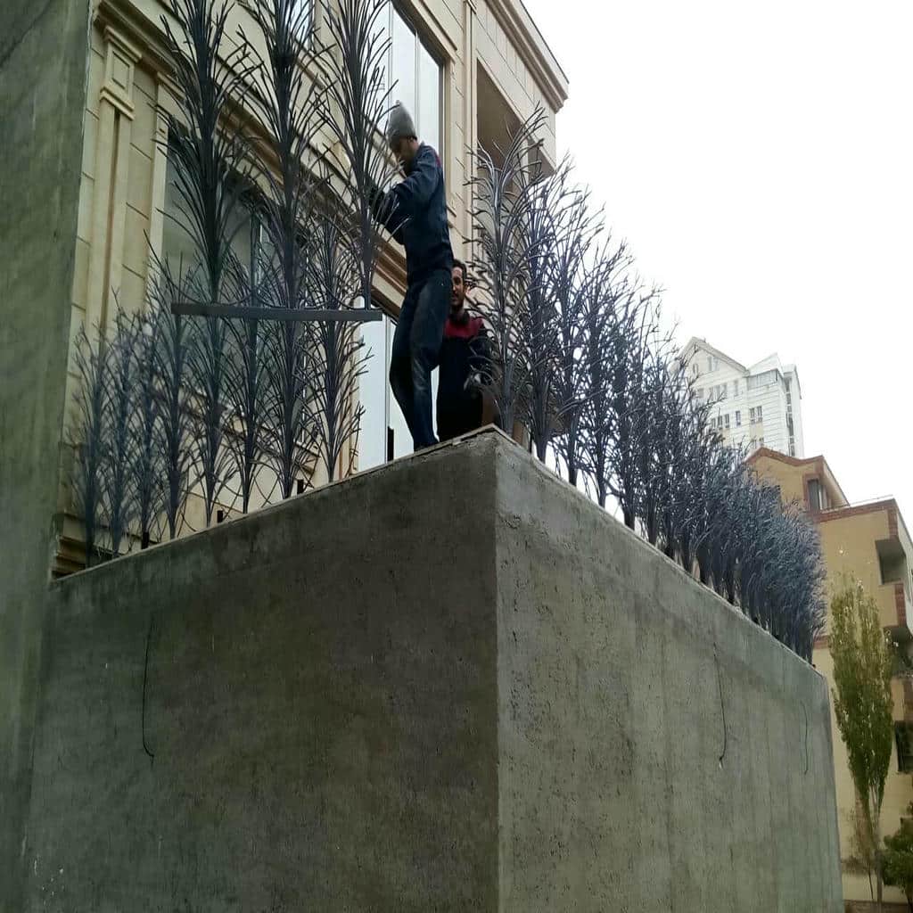 کارخانه حفاظ شاخ گوزنی شاخه متراکم در رفسنجان
