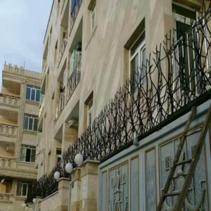 حفاظ شاخ گوزنی در سنندج