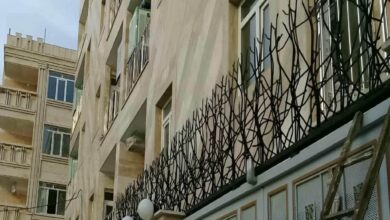 حفاظ شاخ گوزنی در سنندج