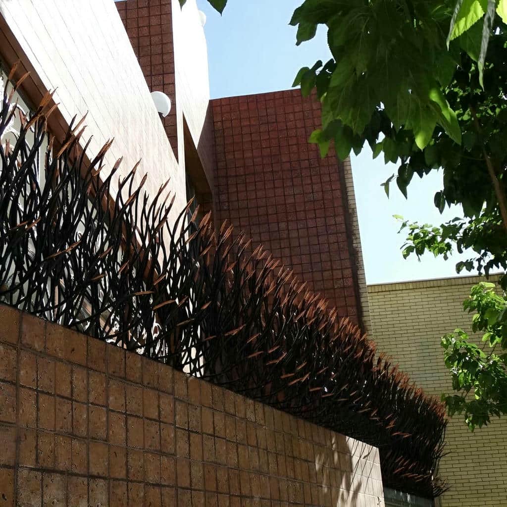حفاظ شاخ گوزنی در کرمان