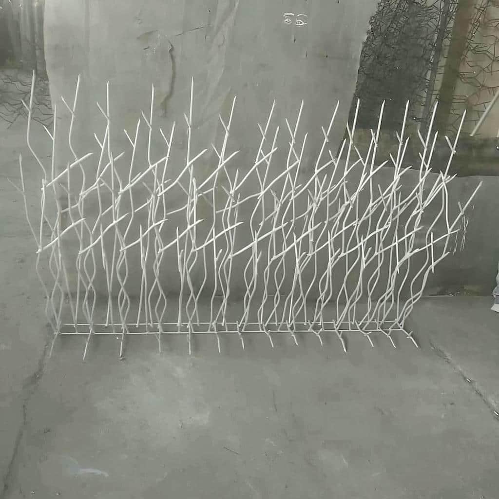 کارخانه حفاظ شاخ گوزنی شاخه فشرده در سیرجان