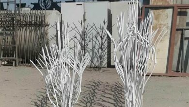 حفاظ شاخ گوزنی در آبادان