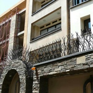 حفاظ شاخ گوزنی در بندر انزلی