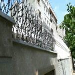 حفاظ شاخ گوزنی در استان گیلان