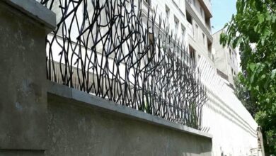 حفاظ شاخ گوزنی در استان گیلان