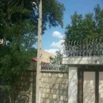 حفاظ شاخ گوزنی در ارومیه
