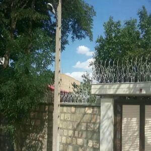 حفاظ شاخ گوزنی در ارومیه