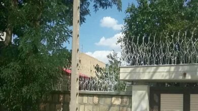 حفاظ شاخ گوزنی در ارومیه
